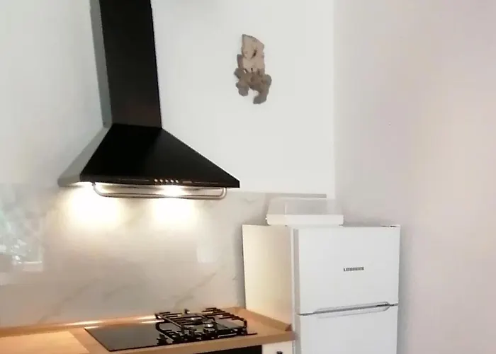 House Fidulic - Rustic Apartament *