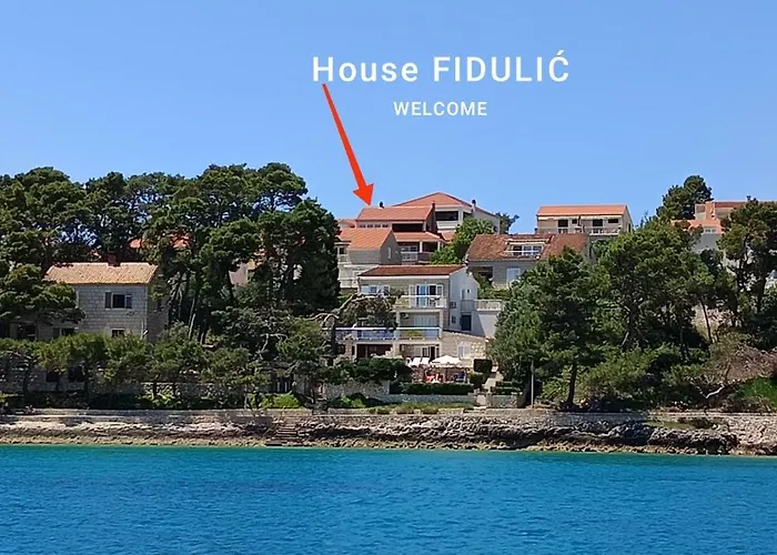 Apartament House Fidulic - Rustic *