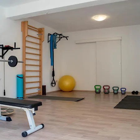 House Fidulic - Rustic Apartament