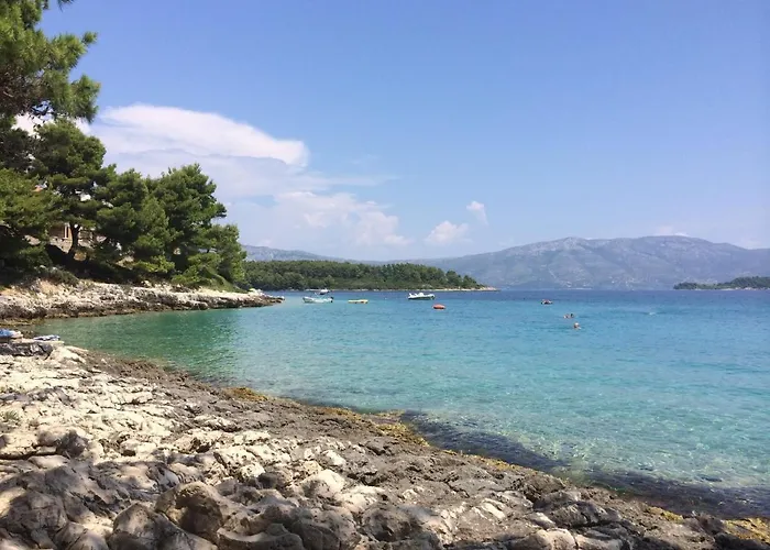 House Fidulic - Rustic