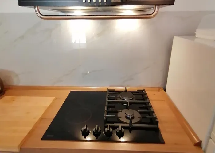 House Fidulic - Rustic *